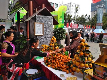 Doanh nghiệp từ 6 nước tham gia Hội chợ Triển lãm Nông nghiệp Quốc tế AgroViet 2022 Doanh nghiệp từ 6 nước tham gia Hội chợ Triển lãm Nông nghiệp Quốc tế AgroViet 2022