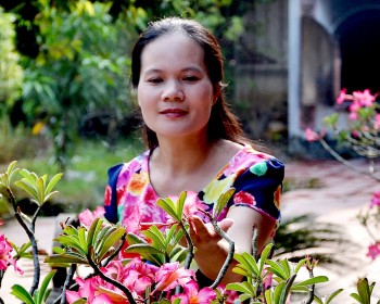noi long cua co giao tieng viet xa truong lop vi chien tranh