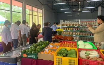 "Quả ngọt" trong hợp tác kinh tế Việt Nam - Campuchia
