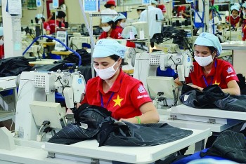 doanh nghiep viet tan dung hieu qua loi the tu ukvfta