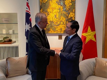 Việt Nam - Australia thúc đẩy hợp tác về năng lượng mới và ứng phó biến đổi khí hậu Việt Nam - Australia thúc đẩy hợp tác về năng lượng mới và ứng phó biến đổi khí hậu