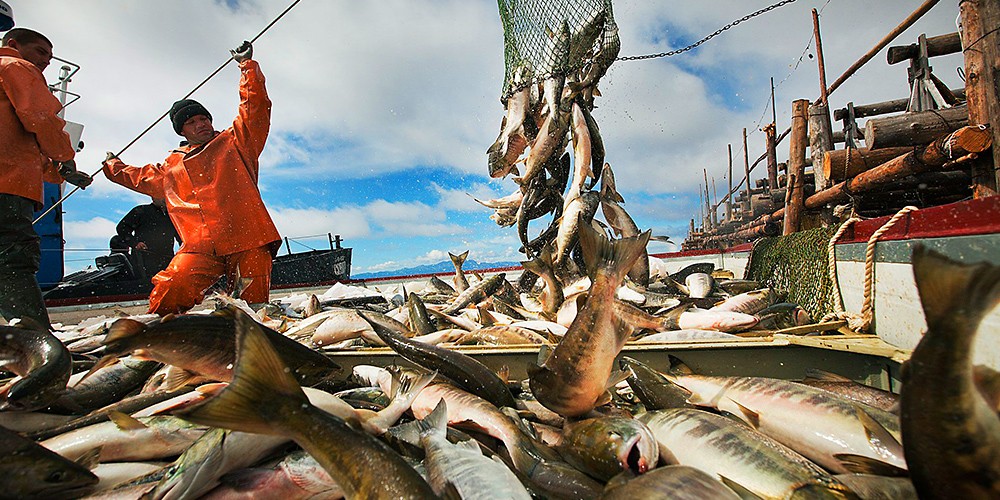 Thêm 2 doanh nghiệp Nga cung cấp thủy sản vào thị trường Việt Nam