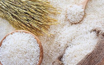 EU sẽ đưa thuế suất cho gạo Việt Nam về 0% sau 3 - 5 năm