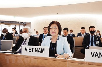 viet nam tich cuc tham gia hoat dong thuc day chu nghia da phuong
