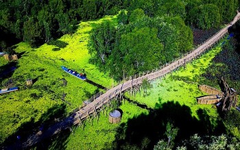 ve rung tram tra su an giang