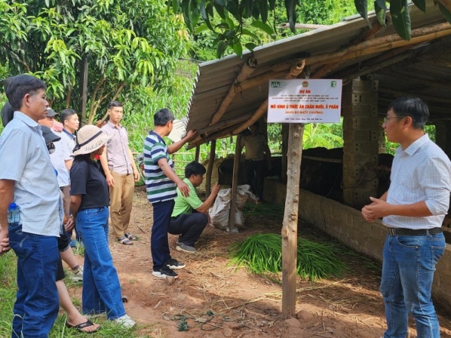 Thay đổi nhận thức và thu nhập cho nông dân vùng dân tộc thiểu số