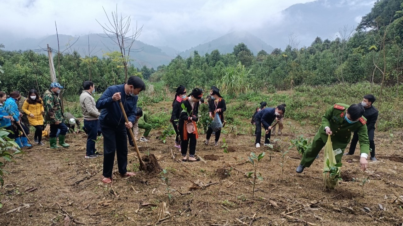 Đời quế, đời người