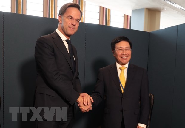 Việt Nam tăng hợp tác song phương với Hà Lan và các nước châu Phi | Chính trị | Vietnam+ (VietnamPlus)