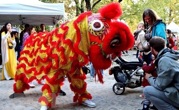 Sôi nổi Ngày hội gia đình của cộng đồng người Việt Nam tại Bỉ