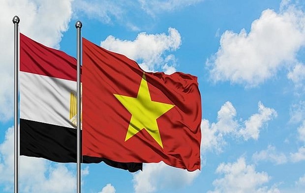 Việt Nam và Ai Cập nhất trí đẩy mạnh quan hệ hợp tác nhiều mặt | Chính trị | Vietnam+ (VietnamPlus)