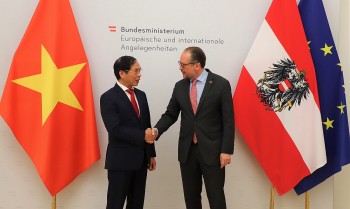 Bộ trưởng Bùi Thanh Sơn đề nghị CH Áo sớm phê chuẩn Hiệp định Bảo hộ đầu tư Việt Nam - EU