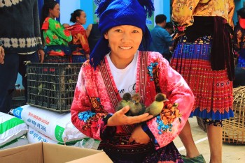 World Vision Việt Nam hỗ trợ sinh kế cho người dân huyện Tủa Chùa (Điện Biên)