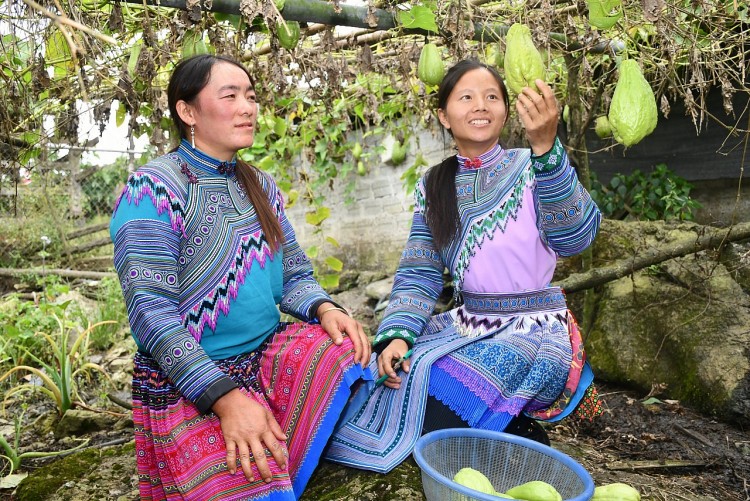 Chị Giàng Gánh (bên phải) chia sẻ kinh nghiệm trồng su su cho phụ nữ tại địa phương.