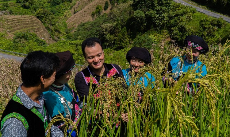 Anh Giàng Quốc Hưng, Bí thư Huyện ủy Mường Khương thăm mô hình trồng lúa đặc sản của Chi hội Phụ nữ thôn Lao Chải, thị trấn Mường Khương.