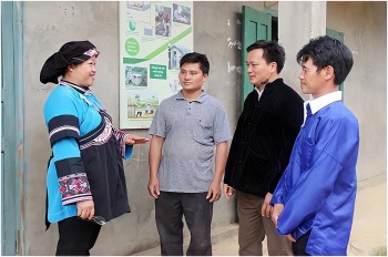 hoa no giua vung dat thep