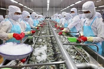 Xuất khẩu thủy sản tăng 38% trong 9 tháng năm 2022