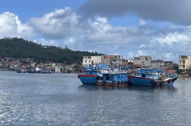Giá nhiên liệu giảm nhiệt, ngư dân Thanh Hóa ra khơi trở lại
