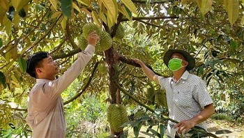can tho se xuat khau sau rieng sang trung quoc vao nam 2023