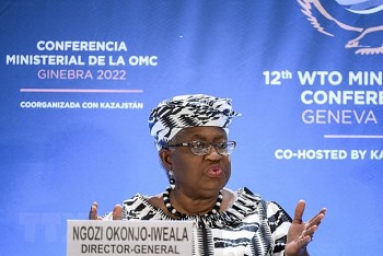 WTO hạ dự báo tăng trưởng thương mại toàn cầu do nguy cơ suy thoái