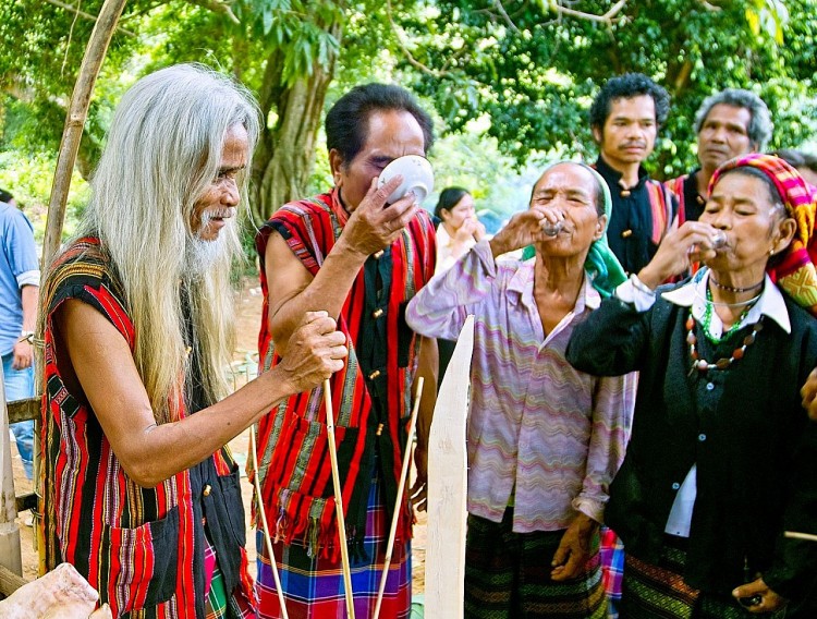 Lễ hội Trỉa lúa của người Bru - Vân Kiều, nét văn hóa đậm đà bản sắc