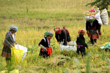 Chính phủ Việt Nam ưu tiên tăng trưởng kinh tế gắn với chăm lo cho người nghèo