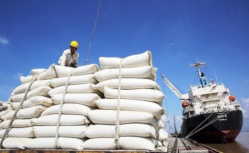 VFA: Giá gạo 5% tấm của Việt Nam đứng đầu thế giới