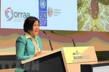 Việt Nam thúc đẩy ngoại giao môi trường và ngoại giao khí hậu