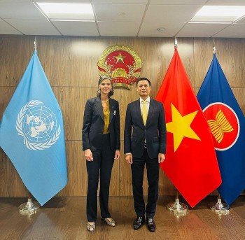 Thúc đẩy quan hệ Việt Nam – Liên hợp quốc