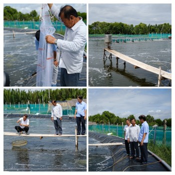 Trà Vinh giúp nông dân phát triển mô hình nuôi tôm sinh thái kết hợp với du lịch