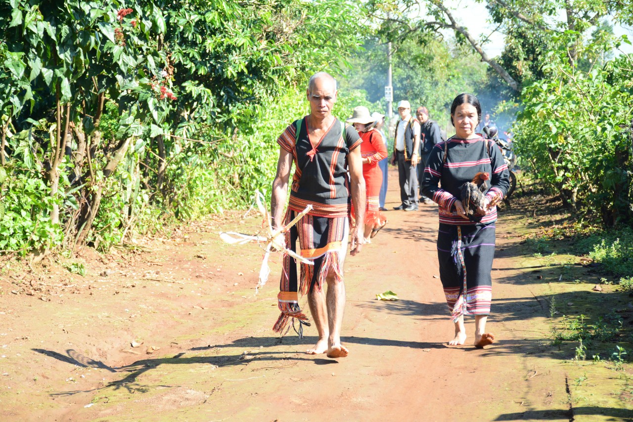 Vợ chồng ông Rơ Châm Phăn mang lễ vật ra ruộng cúng Yàng (Ảnh: Phương Duyên).