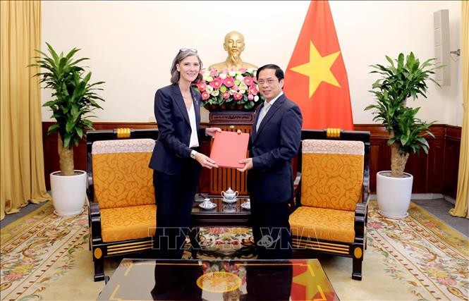 Bộ trưởng Bộ Ngoại giao tiếp Đại diện thường trú UNDP tại Việt Nam