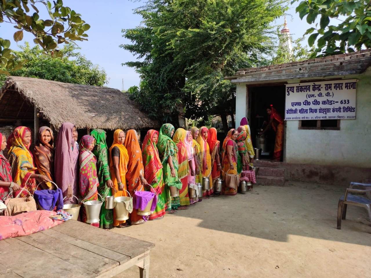Ấn Độ: Những phụ nữ đổi đời nhờ dự án sữa