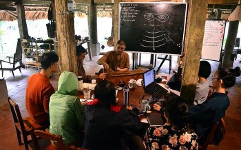 mot nguoi anh me cay co viet nam