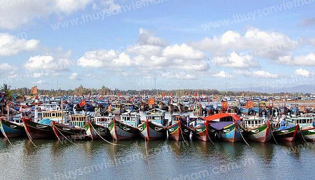 Nghệ An thực hiện đồng bộ, quyết liệt nhằm chấm dứt hoàn toàn các hành vi vi phạm khai thác IUU