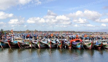 Quảng Ngãi chi hơn 281 tỷ đồng khuyến khích khai thác hải sản trên các vùng biển xa Quảng Ngãi chi hơn 281 tỷ đồng khuyến khích khai thác hải sản trên các vùng biển xa