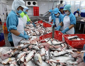 Thị phần thủy sản Việt Nam tại thị trường Mỹ La tinh gia tăng nhờ CPTPP Thị phần thủy sản Việt Nam tại thị trường Mỹ La tinh gia tăng nhờ CPTPP
