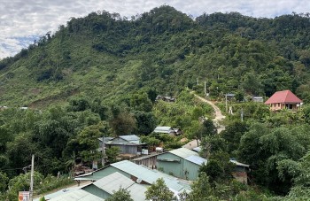 Quảng Nam phân bổ hơn 70 tỷ đồng hỗ trợ phát triển kinh tế - xã hội vùng đồng bào miền núi Quảng Nam phân bổ hơn 70 tỷ đồng hỗ trợ phát triển kinh tế - xã hội vùng đồng bào miền núi