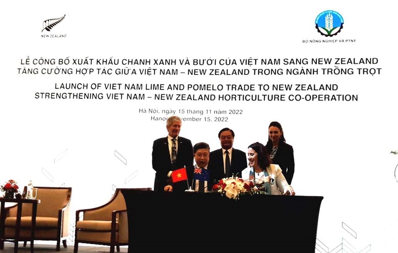 Chanh, bưởi của Việt Nam được phép xuất khẩu sang New Zealand