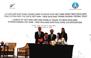 Chanh, bưởi của Việt Nam được phép xuất khẩu sang New Zealand