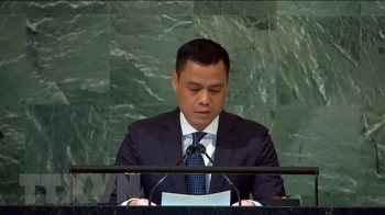 Việt Nam kêu gọi cải tổ Hội đồng Bảo an Liên hợp quốc