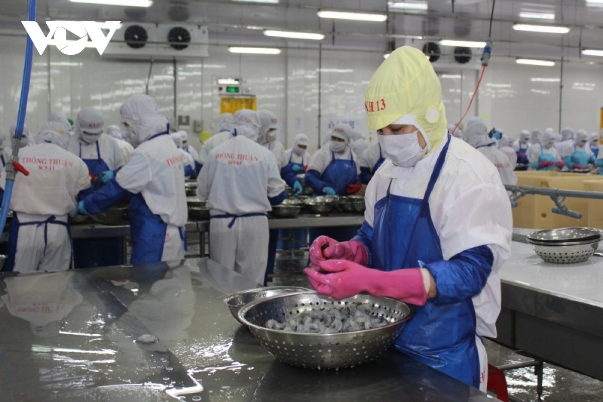 Giải bài toán phát triển bền vững cho hàng Việt ở thị trường EU Giải bài toán phát triển bền vững cho hàng Việt ở thị trường EU