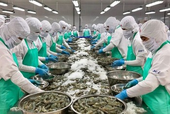 Nhật Bản tuyên bố sẽ kiểm soát IUU với thủy sản Việt Nam
