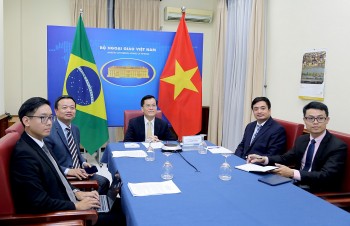 Đưa quan hệ Đối tác toàn diện Việt Nam-Brazil đi vào chiều sâu, ổn định
