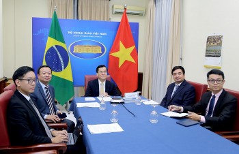 dua quan he doi tac toan dien viet nam brazil di vao chieu sau on dinh