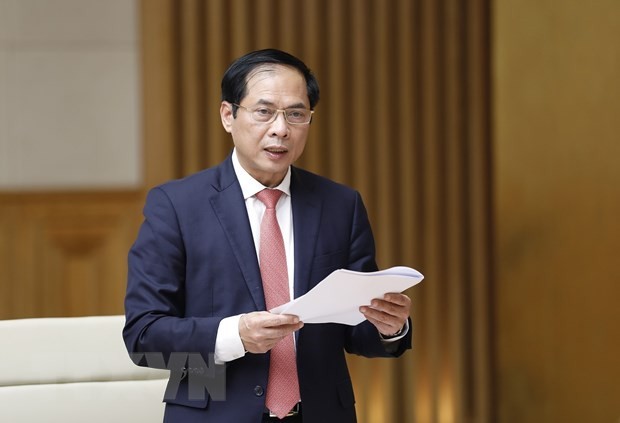 Bộ trưởng Bộ ngoại giao Bùi Thanh Sơn, Tổ trưởng Tổ công tác của Chính phủ về ngoại giao vaccine báo cáo công tác(Ảnh: Dương Giang/TTXVN).