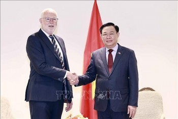 Hợp tác thương mại-đầu tư giữa Việt Nam và New Zealand là trụ cột quan trọng Hợp tác thương mại-đầu tư giữa Việt Nam và New Zealand là trụ cột quan trọng