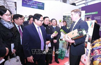 Thủ tướng Phạm Minh Chính thăm mô hình trồng trọt liên kết 