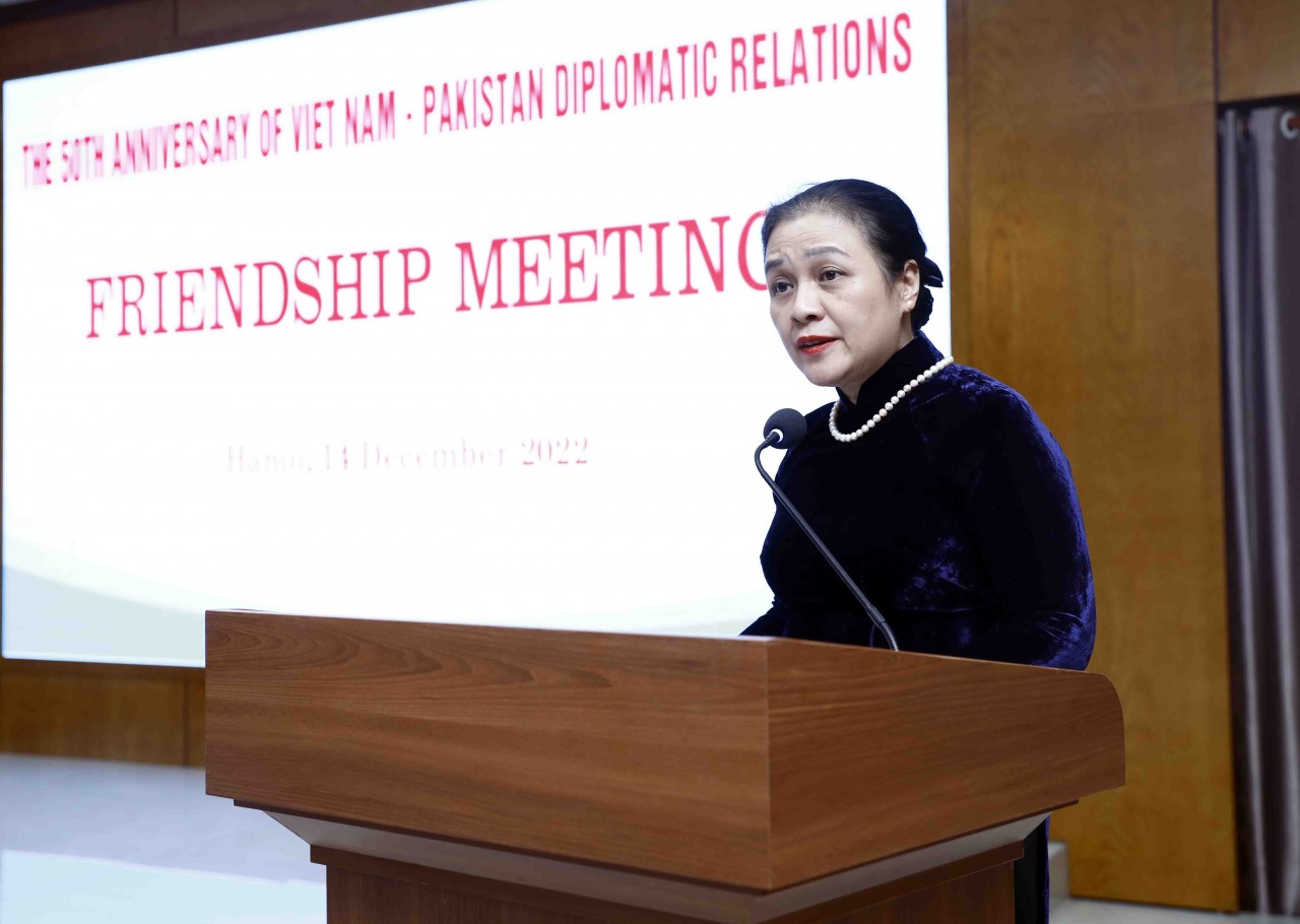 Đại sứ Nguyễn Phương Nga, Chủ tịch VUFO phát biểu tại buổi gặp gỡ.