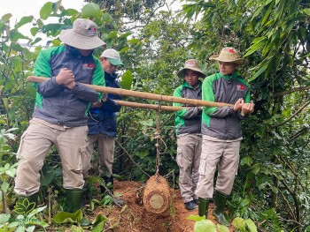 Quảng Trị: Xử lý thành công quả bom nặng 119kg