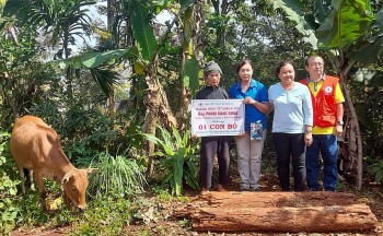Đưa Tết nhân ái – Xuân Quý Mão 2023 đến với người dân tộc thiểu số trên địa bàn TP. Buôn Ma Thuột Đưa Tết nhân ái – Xuân Quý Mão 2023 đến với người dân tộc thiểu số trên địa bàn TP. Buôn Ma Thuột